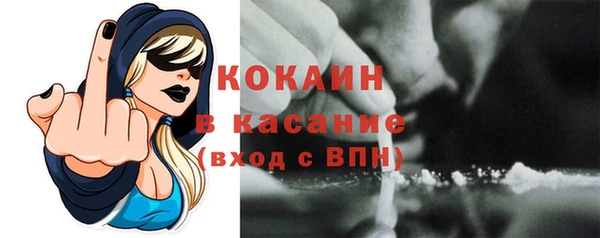 ГАЛЛЮЦИНОГЕННЫЕ ГРИБЫ Гусь-Хрустальный