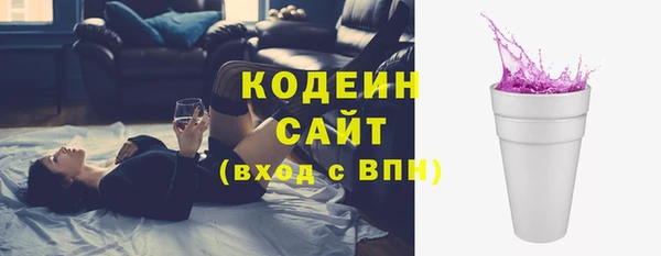 таблы Гусев
