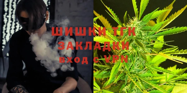 ГАЛЛЮЦИНОГЕННЫЕ ГРИБЫ Гусь-Хрустальный