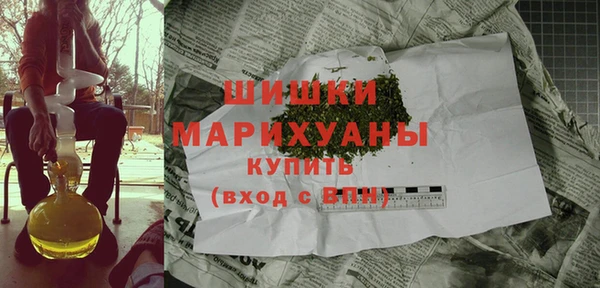 ГАЛЛЮЦИНОГЕННЫЕ ГРИБЫ Гусь-Хрустальный