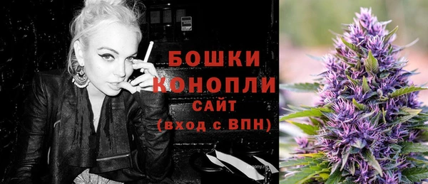 ГАЛЛЮЦИНОГЕННЫЕ ГРИБЫ Гусь-Хрустальный