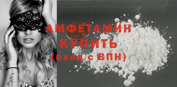 ГАЛЛЮЦИНОГЕННЫЕ ГРИБЫ Гусь-Хрустальный