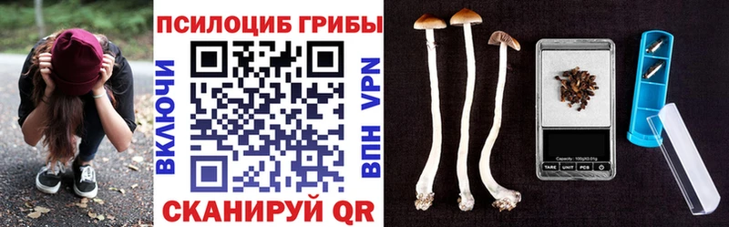 купить  сайты  Серпухов  Галлюциногенные грибы Magic Shrooms 
