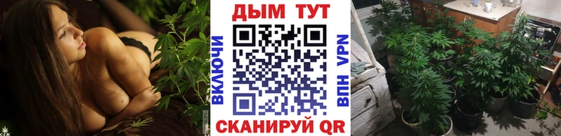 OMG ONION  Серпухов  Бошки Шишки VHQ  мориарти состав  наркотики 